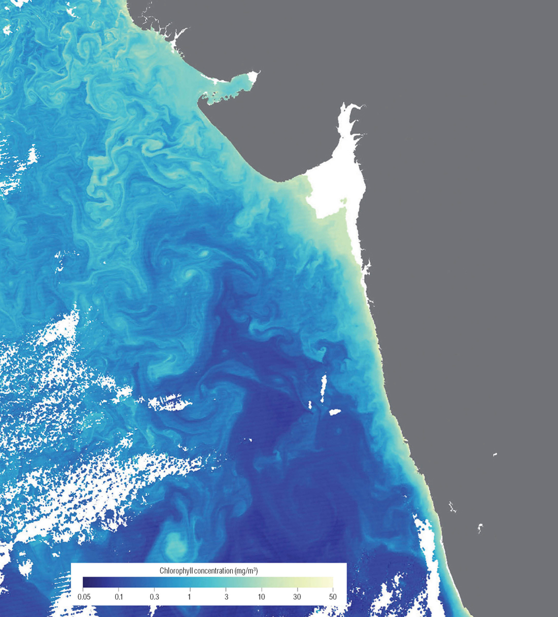 Monitoring of Algal Blooms in the Indian Seas